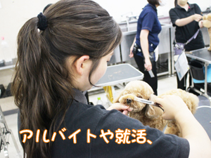 スキルアッププログラム♪